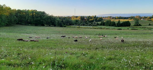 Grass-Fed...Simple right? Part 4