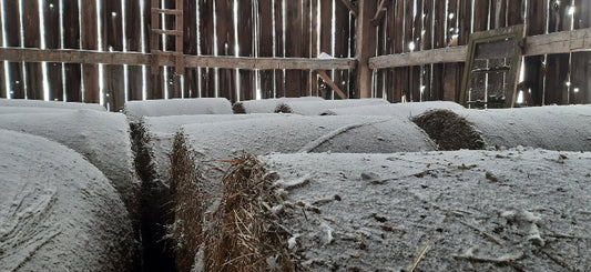 Farm Stories - February 12, 2022