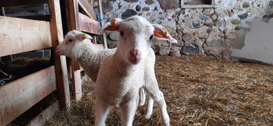 Farm Stories - January 29, 2022