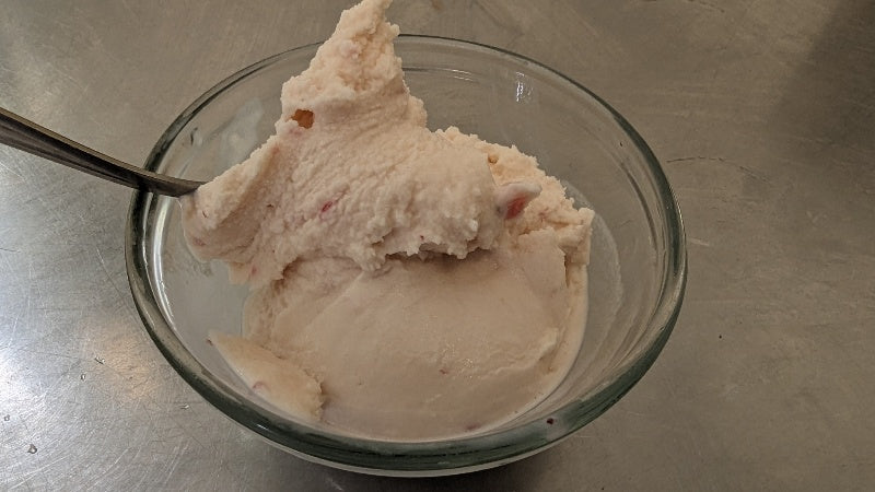 Copy of Rhubarb Maple Cheesecake Sheep Milk Gelato All Sorts Acres Farm