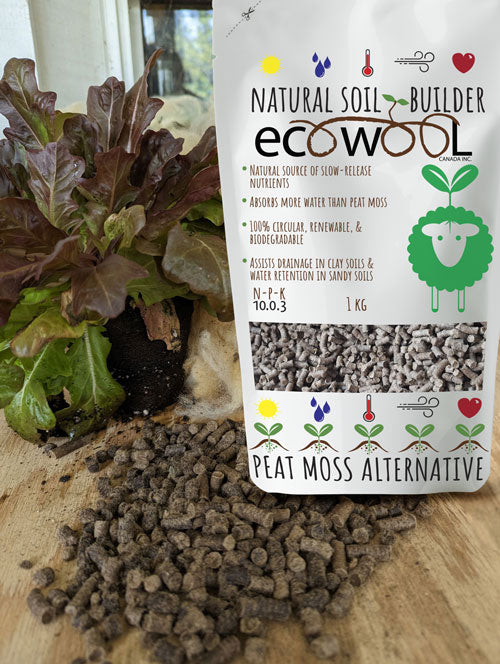 Wool Fertilizer Pellets EcoWool Canada Inc.