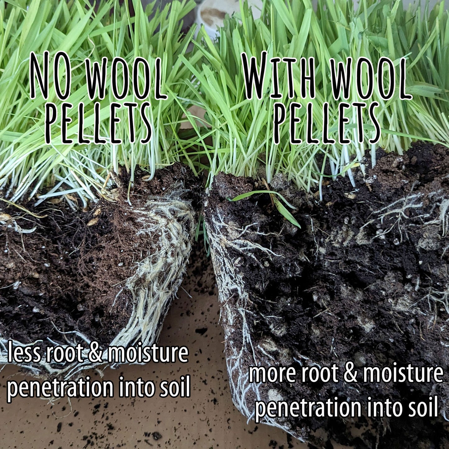 Wool Fertilizer Pellets EcoWool Canada Inc.