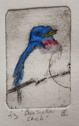 Intaglio Print - Barn Swallow chick All Sorts Acres Farm