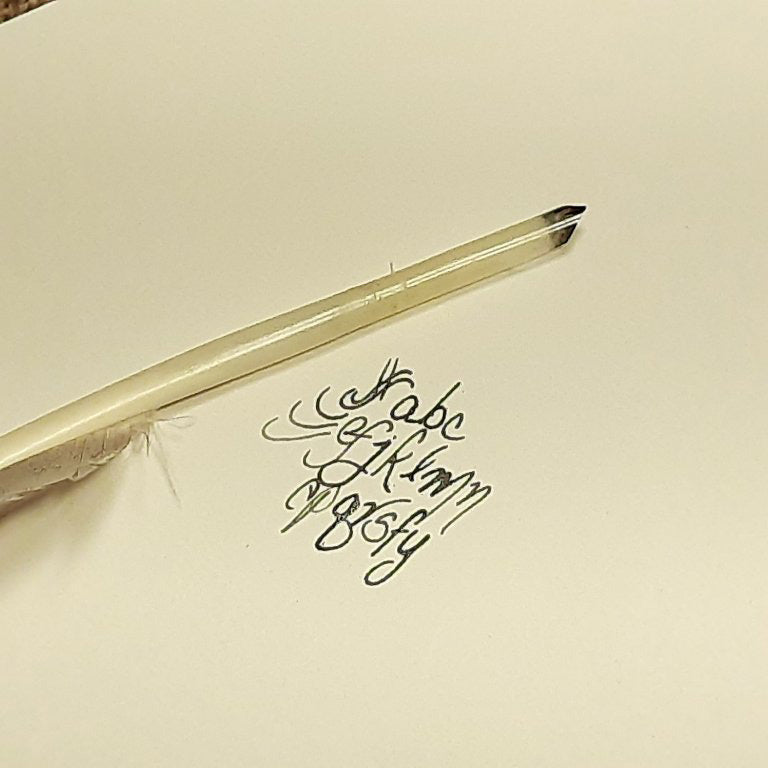Goose Quill Pen All Sorts Acres Farm