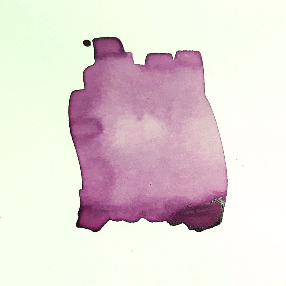 Elderberry Ink All Sorts Acres Farm