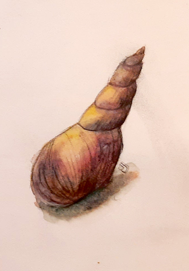 Lake Shell #2- Mini Painting All Sorts Acres Farm