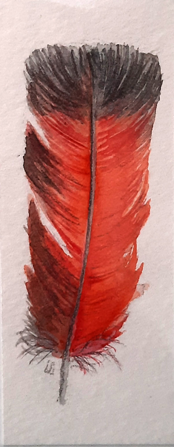 Meditation Feather #6 - Mini Painting All Sorts Acres Farm