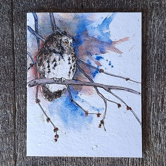 Screech Owl - seed paper greeting card All Sorts Acres Farm