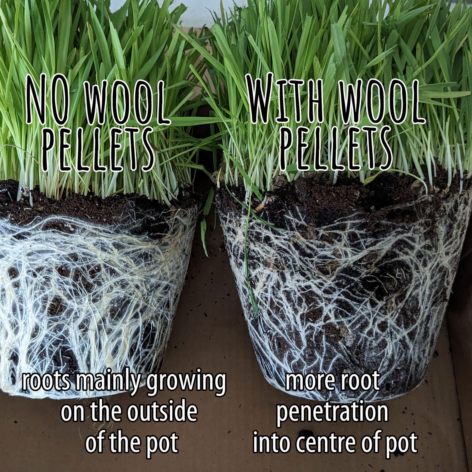 Wool Fertilizer Pellets EcoWool Canada Inc.