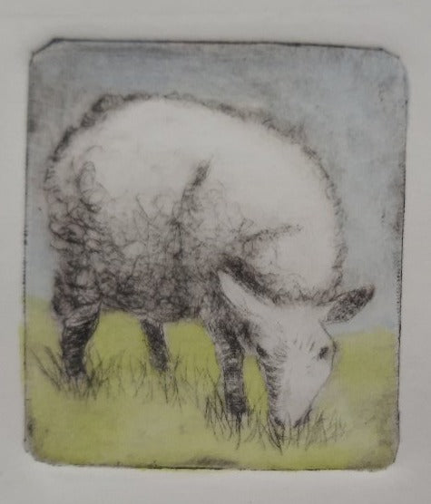 Intaglio Print - Border Leicester All Sorts Acres Farm