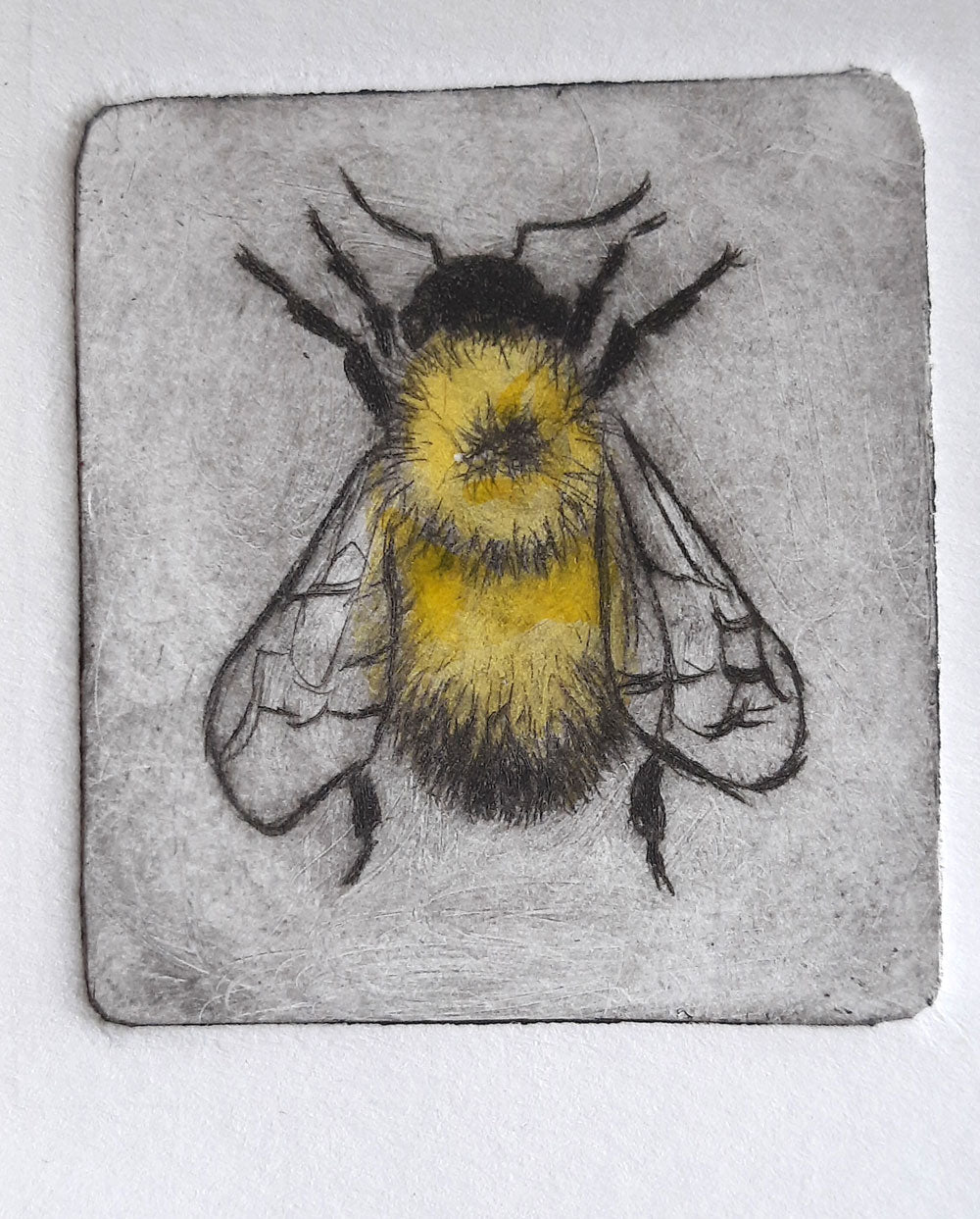 Intaglio Print - Bumble All Sorts Acres Farm