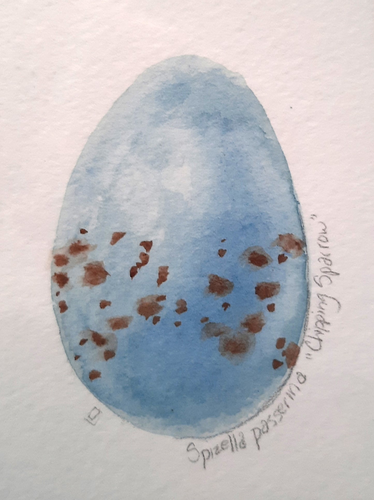 Chipping Sparrow Egg #2- Mini Painting All Sorts Acres Farm