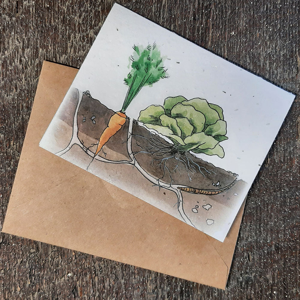 4 Card Set: Grow Your Own - seed paper greeting card All Sorts Acres Farm