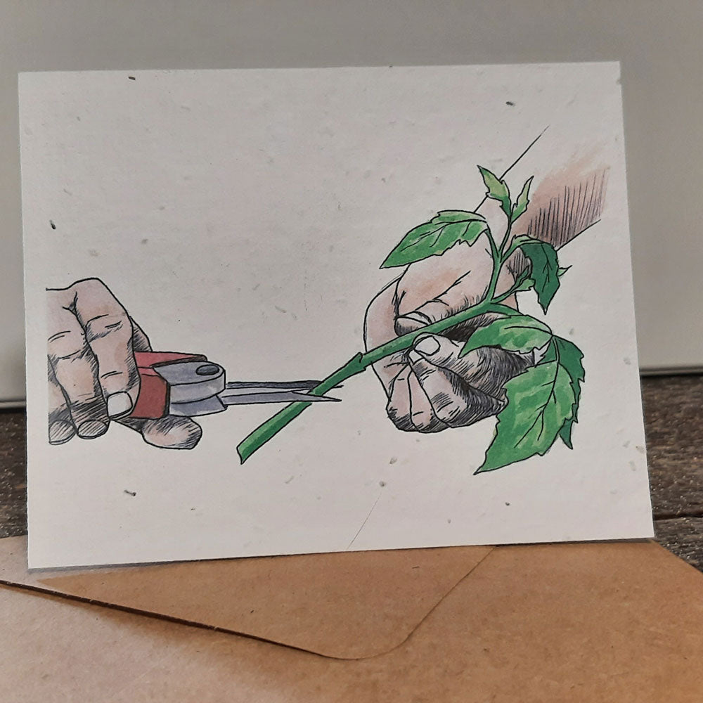 Tending and Grafting - seed paper greeting card All Sorts Acres Farm