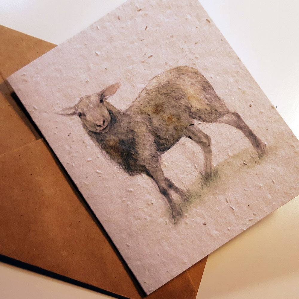 East Friesian Lamb - seed paper greeting card All Sorts Acres Farm