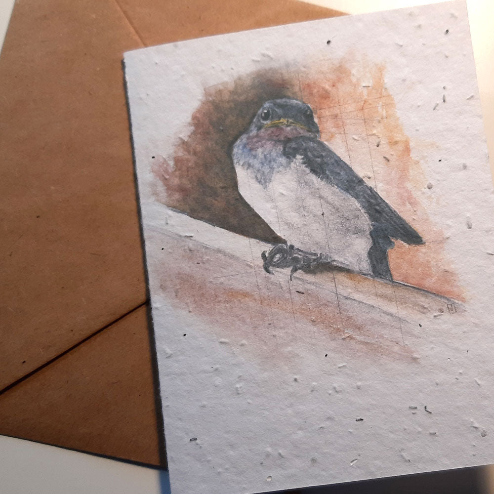 Barn Swallow Fledgling - seed paper greeting card All Sorts Acres Farm