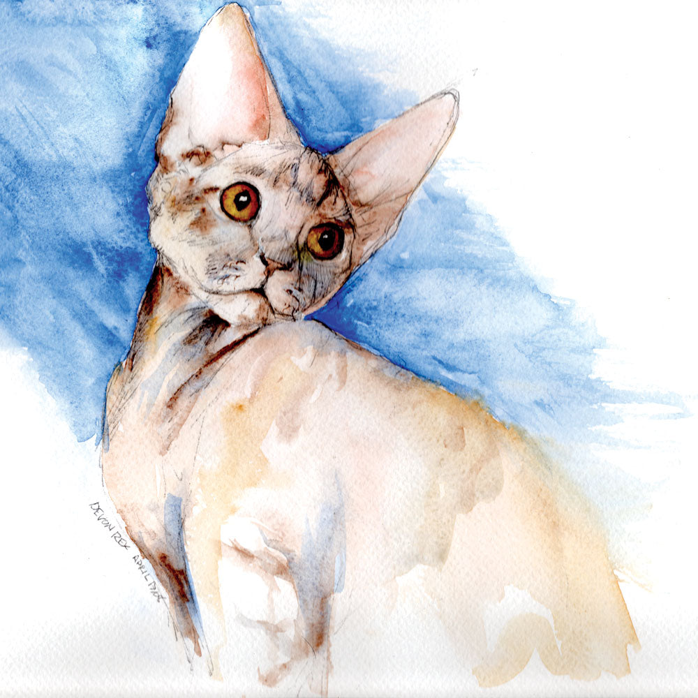 Custom painted portrait - Ink & Watercolour All Sorts Acres Farm