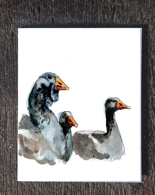 Toulouse Geese - seed paper greeting card All Sorts Acres Farm